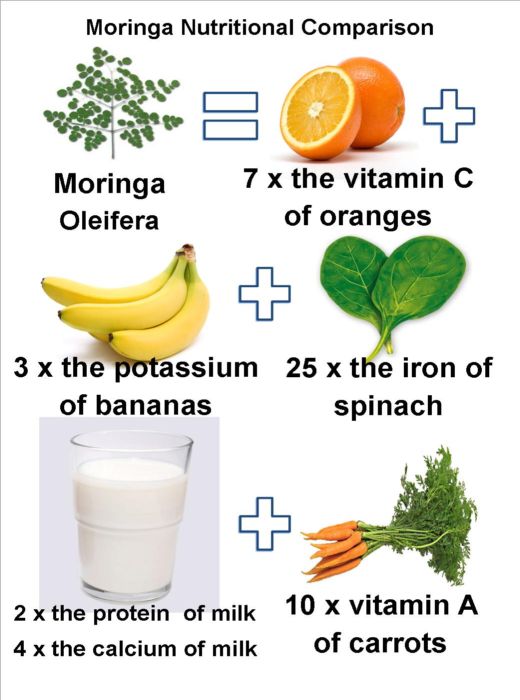 When you compare Moringa with these fruits, vegetables and milk, gram for gram you see clearly that Moringa is an excellent source of vital nutrients.